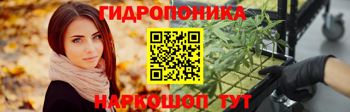 Конопля гибрид Чита